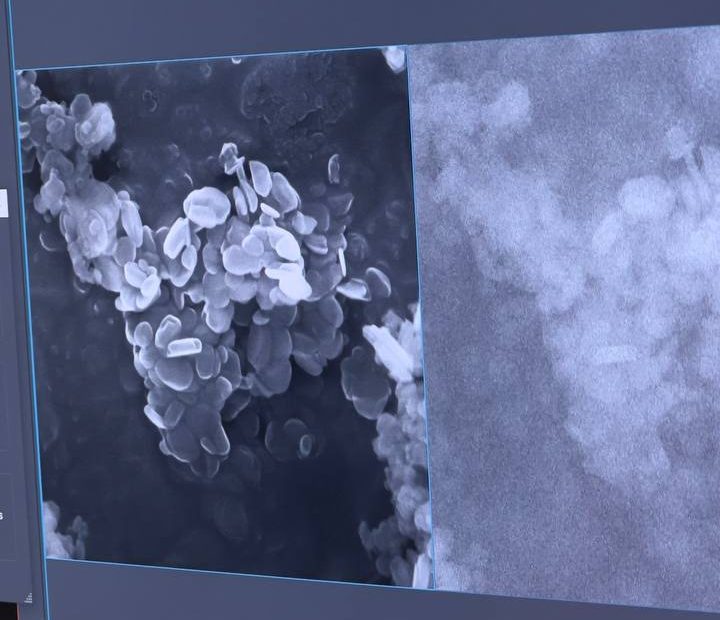 SEM image of graphite dispersion