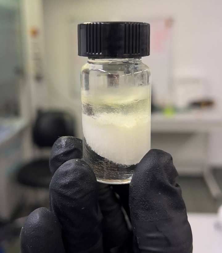 Butterfly resin print